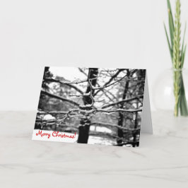 Winter v.2 [Kerst Kaart] Feestdagen Kaart