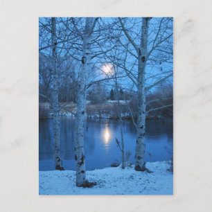 Winter Volledige maan op de Pond Briefkaart