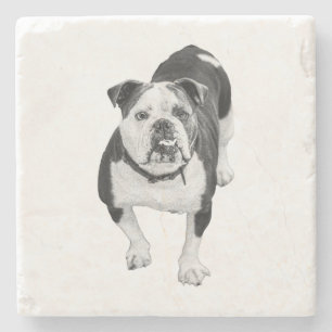 Winter Vriend, Bulldog Achtbaan Stenen Onderzetter
