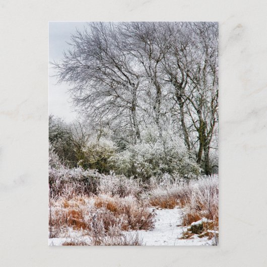 Winter Walk Briefkaart (Voorkant)