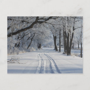 Winter Walking Trail Briefkaart