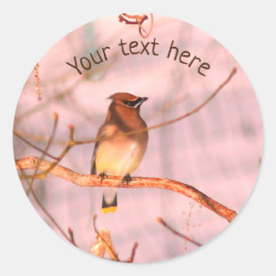 Winter Waxwing Wildlife Natuur - Gepersonaliseerd Ronde Sticker
