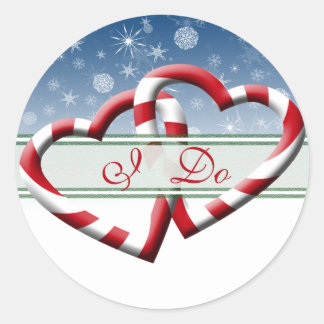 Winter Wedding Envelope zegels die ik doe