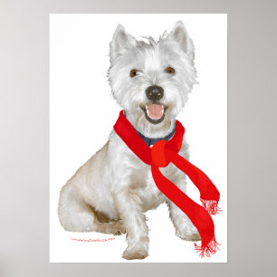 Winter Westie in een rode sjaal Poster