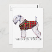 Winter Wheaten Terrier Briefkaart (Voorkant / Achterkant)