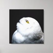 Winter White Snowy Owl Canvas Afdruk (Voorkant)