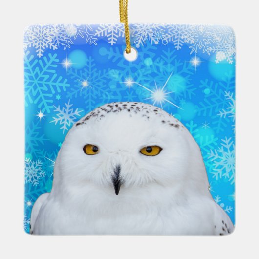Winter White Snowy Owl Keramisch Ornament (Voorkant)