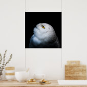 Winter White Snowy Owl Poster (Keuken)