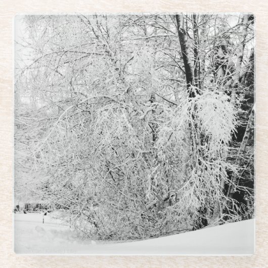 Winter Whites Glazen Onderzetter (Voorkant)