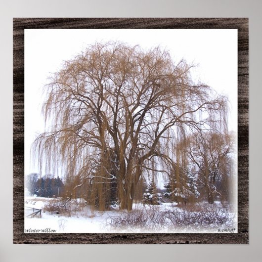 Winter Willow- Matted Poster (Voorkant)