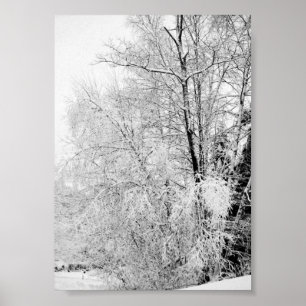 Winter Wits Print