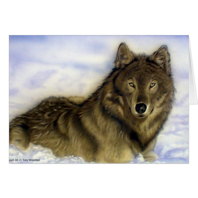 WInter Wolf (Voorkant Horizontaal)