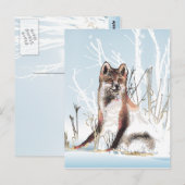 Winter Wolf Briefkaart (Voorkant / Achterkant)