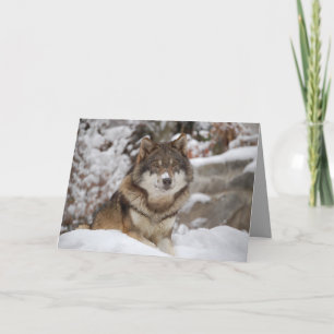 Winter Wolf Kaart
