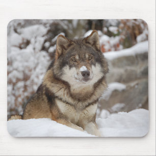 Winter Wolf Muismat
