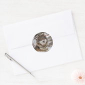Winter Wolf Ronde Sticker (Envelop)
