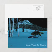 Winter Wolf - Tapetum Lucidum Briefkaart (Voorkant / Achterkant)
