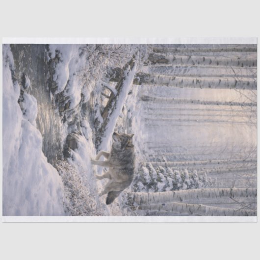 Winter Wolf Tissuepapier (Voorkant)
