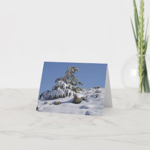 Winter Wonder All Occasion Wenskaart Feestdagen Kaart