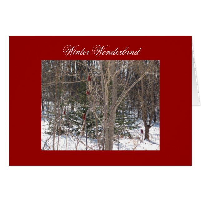 Winter Wonderland (Devant horizontal)