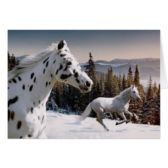 Winter Wonderland (Devant horizontal)