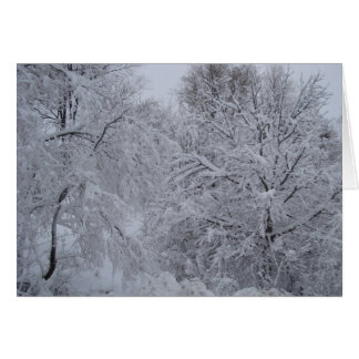 Winter Wonderland