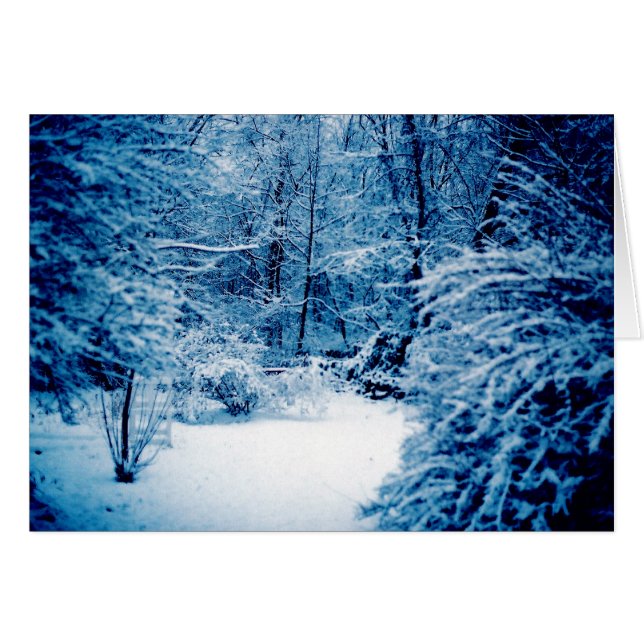 Winter Wonderland (Devant horizontal)
