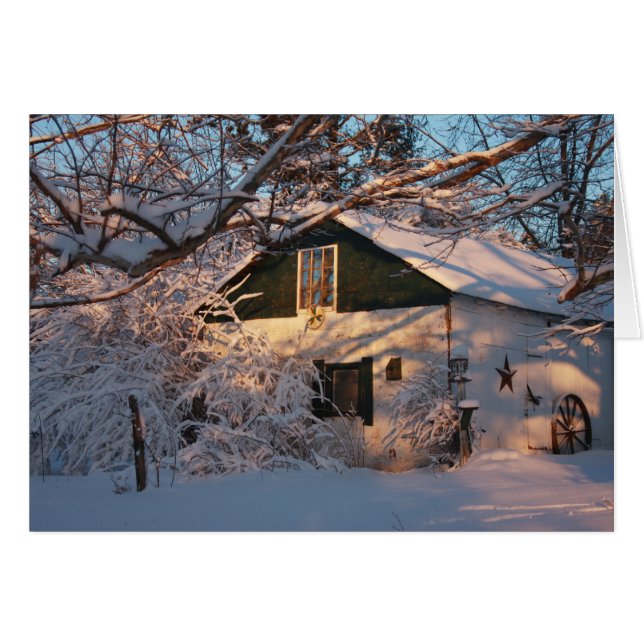 Winter Wonderland (Devant horizontal)