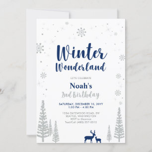 Winter Wonderland 2nd Boy Birthday Invitation Kaart