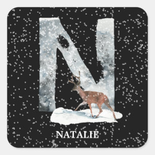 Winter Wonderland Alphabet N Monogram rendieren Vierkante Sticker