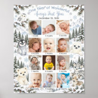 Winter Wonderland Arctische Dieren Eerste Jaar Fot