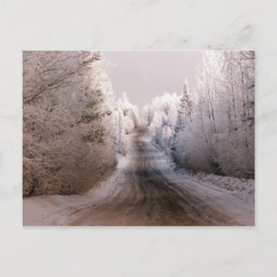 Winter Wonderland - Briefkaart