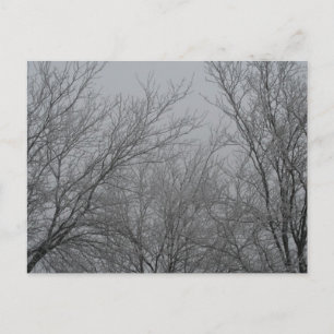 Winter Wonderland Briefkaart