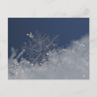 Winter Wonderland Briefkaart
