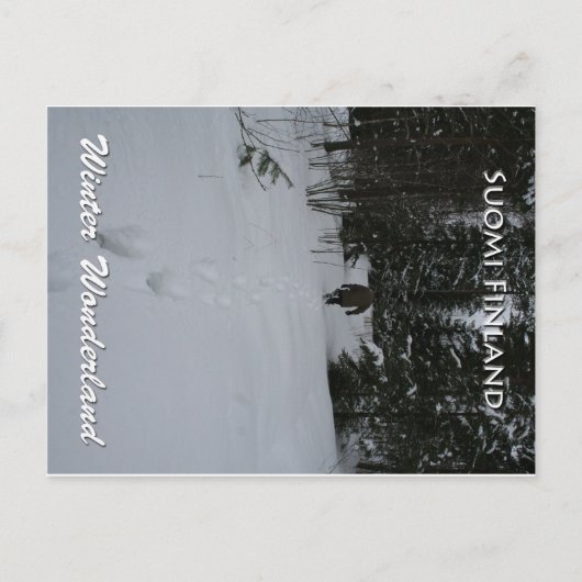 Winter Wonderland Briefkaart (Voorkant)