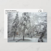 Winter Wonderland Briefkaart (Voorkant / Achterkant)