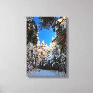 Winter Wonderland Canvas Afdruk