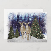 Winter Wonderland Deer et Christmas Tree carte pos (Devant / Derrière)