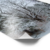 Winter Wonderland Foto Afdruk (Hoek)