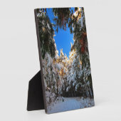 Winter Wonderland Fotoplaat (Zijkant)