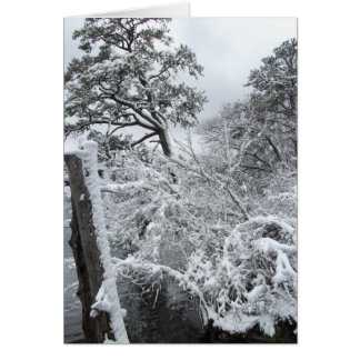 Winter Wonderland II