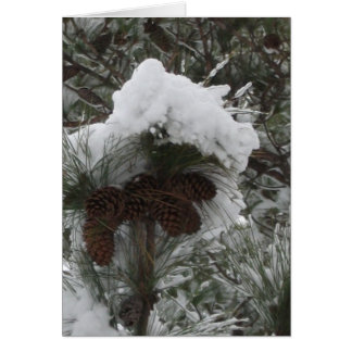 Winter Wonderland III