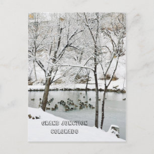 Winter Wonderland in Duck Pond Park Briefkaart