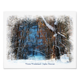 Winter Wonderland in Joplin Missouri Foto Afdruk