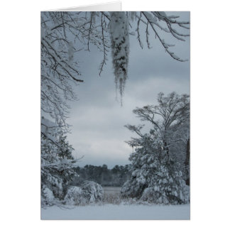 Winter Wonderland IV