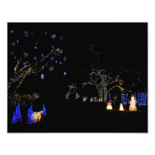 Winter Wonderland Lights Blue en White Holiday Foto Afdruk