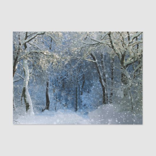 Winter Wonderland Magisch Glitter Tissue Paper Tissuepapier (Voorkant)
