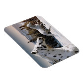 Winter Wonderland Magneet (Rechterzijde)