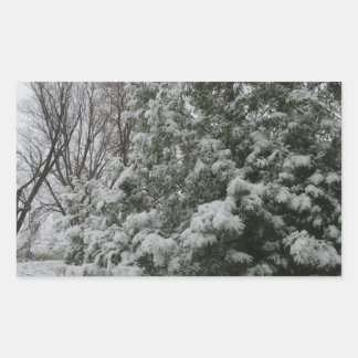 Winter Wonderland Pijnboom met Sneeuw Herfst Rechthoekige Sticker