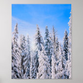 Winter Wonderland Pine Trees in sneeuw Poster (Voorkant)